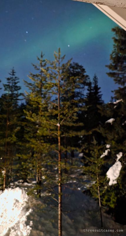 Green Northern Lights above snow-covered pine trees in Ounasvaara, Rovaniemi