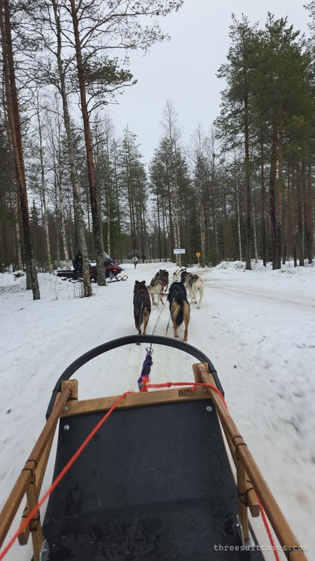 Husky Safari at Santa Claus Village - landmark photo 1