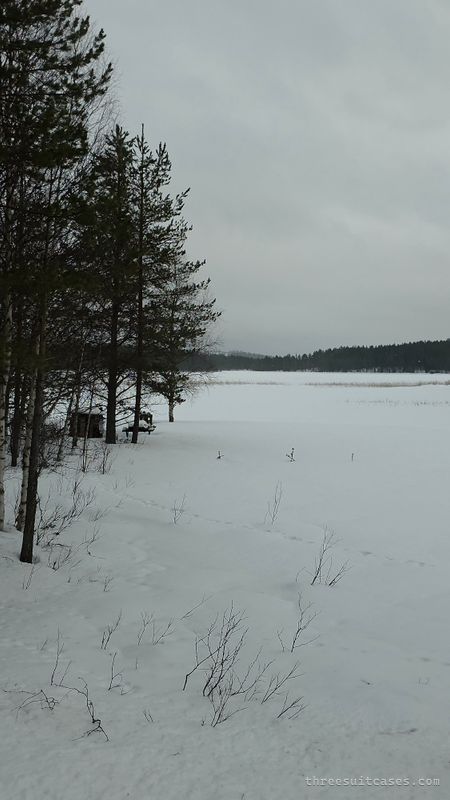 Snow-covered lake and pine forest in Oulanka National Park during March