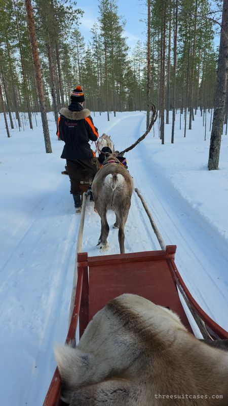 Pahtaja Reindeer Farm - landmark photo 2