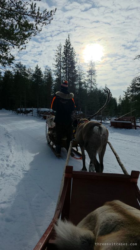 Pahtaja Reindeer Farm - landmark photo 3