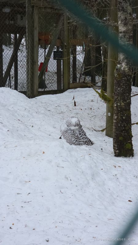 Entrance to Ranua Wildlife Park on a snowy March day in Finnish Lapland