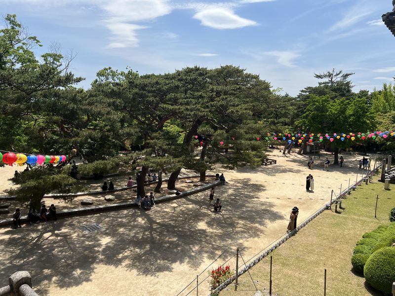 Bulguksa Temple, Seoul & Busan - ⛩ temple