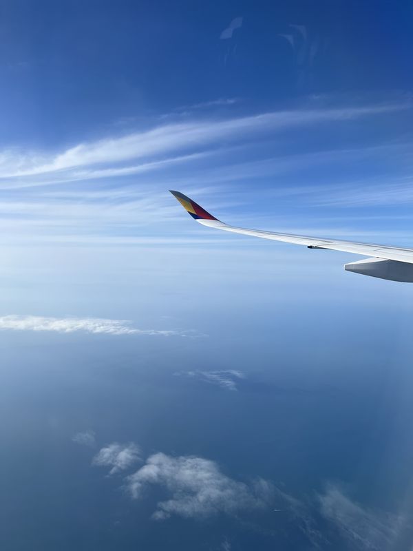 Asiana Airlines Flight, Seoul & Busan - 🚆 transport