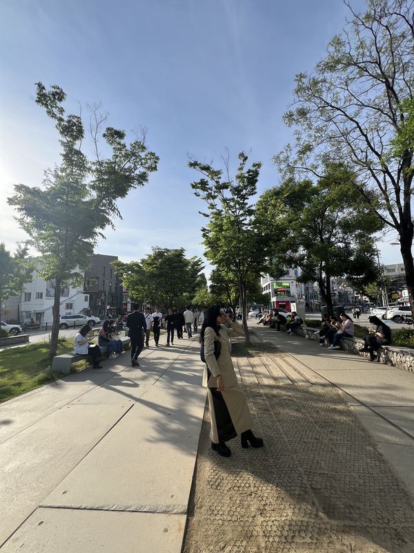 Gyeongui Line Forest Park, Seoul & Busan - 🌳 park