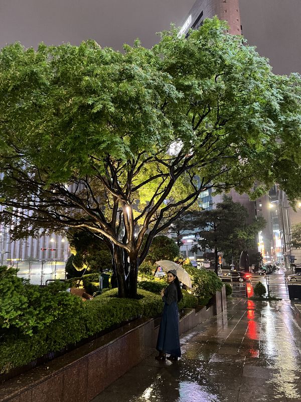 Myeongdong at Night, Seoul & Busan - 🧺 market