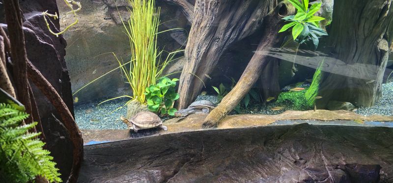 SEA LIFE Busan Aquarium, Seoul & Busan - 🏛 landmark