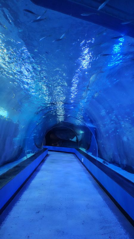 SEA LIFE Busan Aquarium, Seoul & Busan - 🏛 landmark