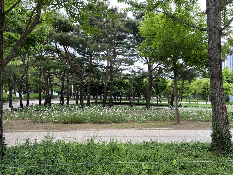 Seoul Forest, Seoul & Busan - 🌳 park