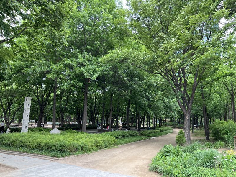 Seoul Forest, Seoul & Busan - 🌳 park